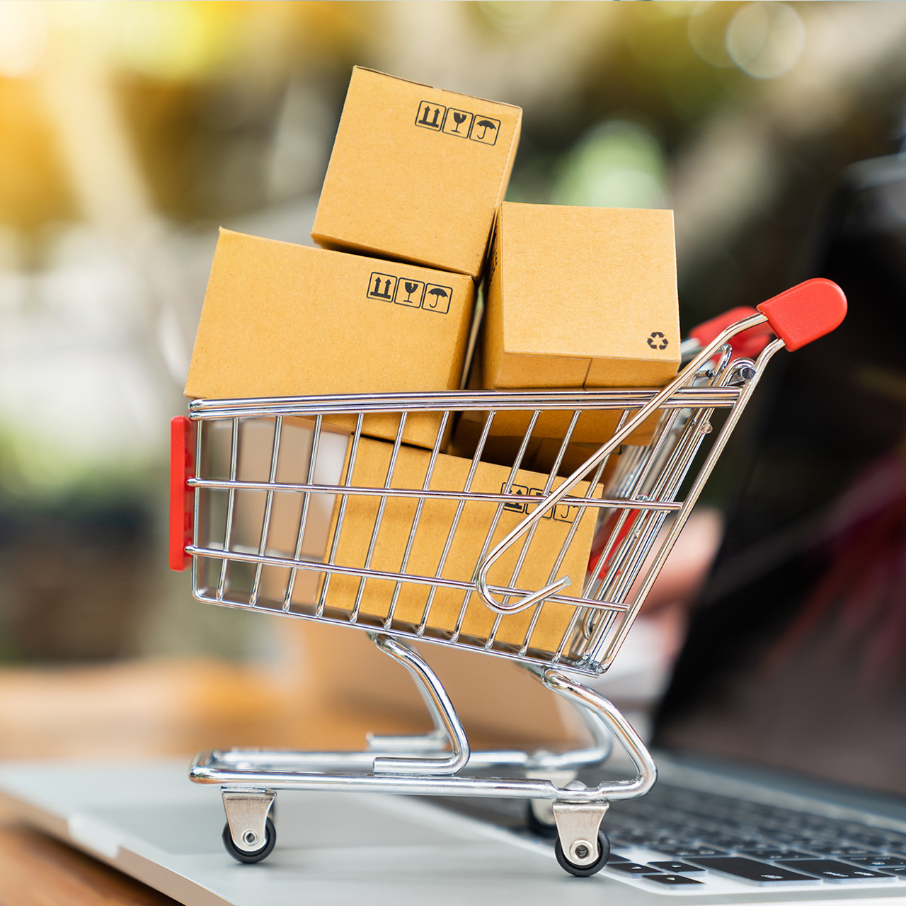 wPshop standart shop paket wPshop standart shop paket