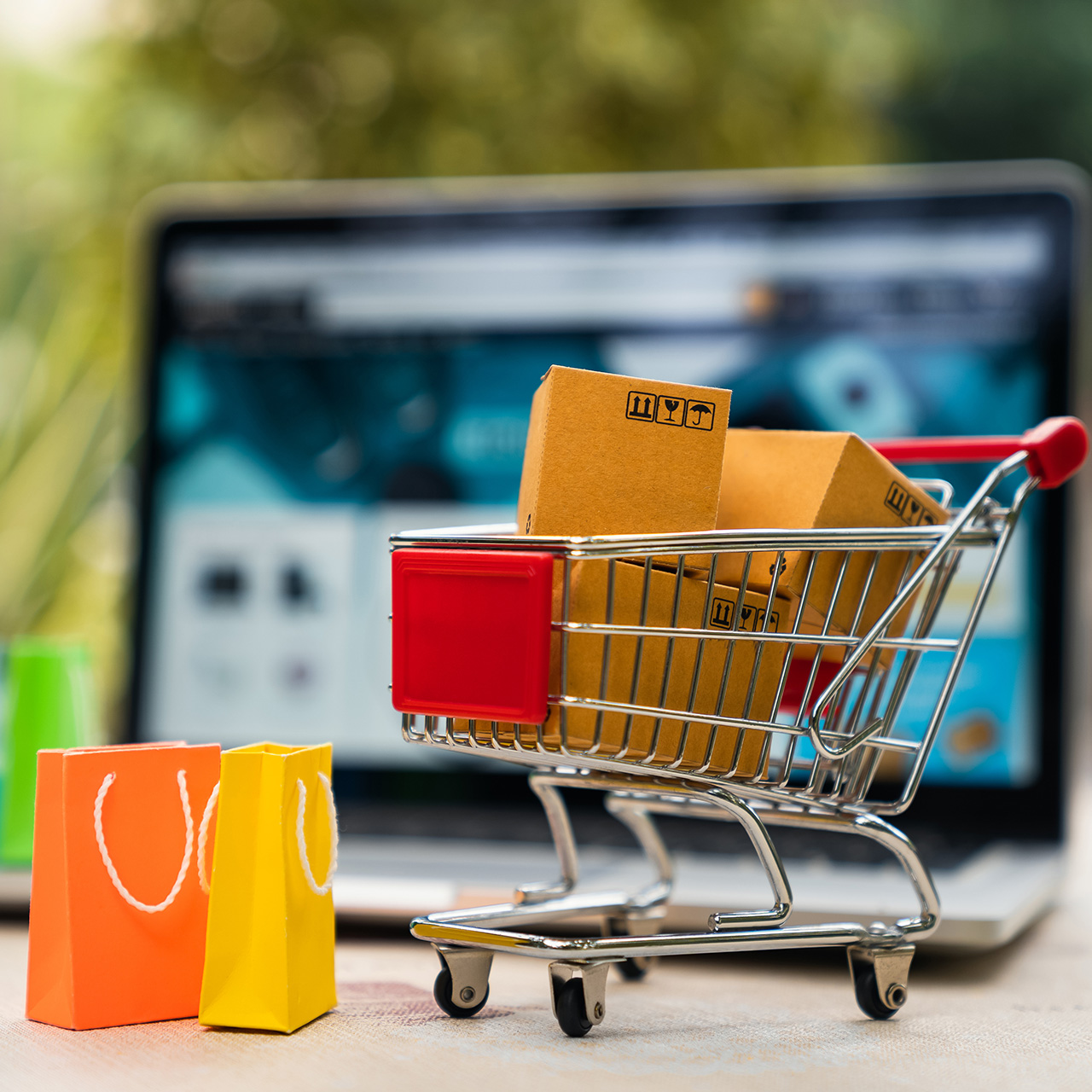 online e-commerce standart shop paket wPshop